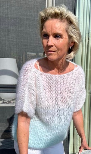 Lisa dégradé